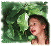 Poison Ivy